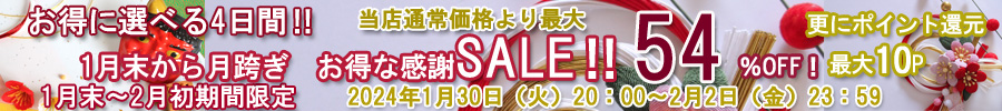 SALE2月