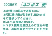 DM便バナー